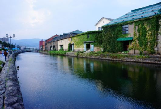 日本-昭和风情-小樽音乐盒堂-包车一日游【多/日游全境定制】【[中文司导可选]提供基础接送或中文导游，满足不同旅客需求】