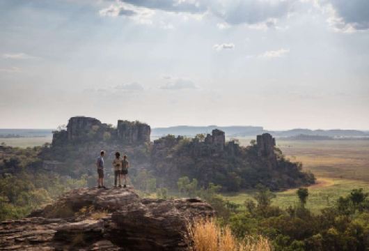 澳大利亚达尔文卡卡杜国家公园+福格湿地一日游【含市区接送】【探索世界遗产卡卡杜国家公园，欣赏壮阔自然美景和原住民岩石艺术！】