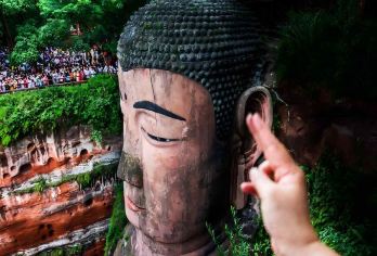 熊猫基地+乐山大佛2-8人包车游·独立用车大佛可选登山或船游【[潮流新品优惠]始于颜值陷于品质丨高品质巨实惠丨门票全含丨真纯玩全程无自费丨乐山本地美食】