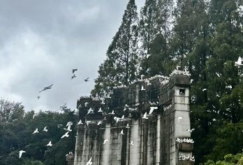 中山陵景区+音乐台+美龄宫+梧桐大道【私家团3小时参观】【[无线耳麦]避免嘈杂环境，听讲解更沉浸！】