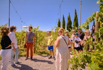 意大利佛罗伦萨出发一日游 锡耶纳 基安蒂葡萄酒庄 蒙特里久尼【享受空闲时间探索风景如画的山顶小镇圣吉米尼亚诺和蒙特里久尼】