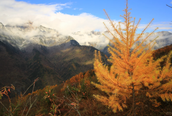 云中牧场户外徒步一日游【云卷云舒下见牛羊，徒步草甸赏春天的高原风光】