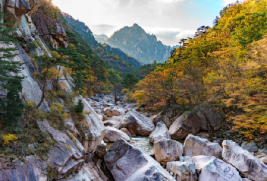 韩国首尔出发｜雪岳山国立公园+洛山寺· 专车一日游【精选专车接送，舒适直达雪岳山与洛山寺，自由掌控行程节奏，省心省时】