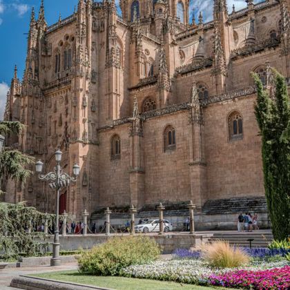 萨拉曼卡青蛙+新主教座堂+罗马古桥+贝壳之家【包车一日游】