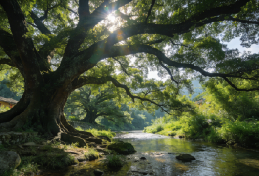 南靖云水谣 - 和贵楼线【土楼文化 + 田园风光，漫步云水谣古道，感受 