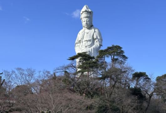 轻井泽+高崎+东京+定制包车【中文司机+酒店接送】【管家贴心服务+酒店专车接送】