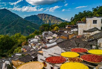 婺源篁岭一日游【景德镇出发 | #独立包车~徽派乡村游】【[源自徽州]婺源5A篁岭景区+小景点】