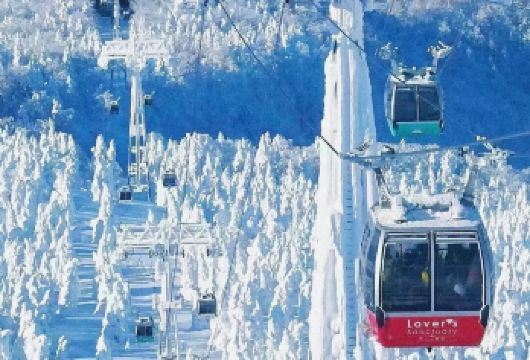 日本札幌往返室兰地球岬-可札幌登别富良野美瑛北海道包车-精选【包车一日游，解锁旅行新方式！独立车辆配备经验丰富的老司机，为您量身打造专属行程。】