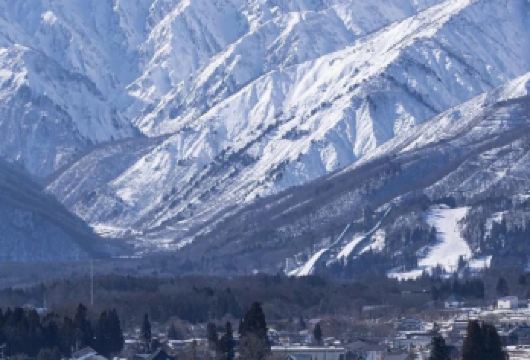 日本札幌出发打卡小樽积丹半岛/可登别富良野北海道多日包车精选【包车一日游，解锁旅行新方式！独立车辆配备经验丰富的老司机，为您量身打造专属行程。】