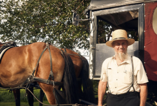 「纽约往返」费城+阿米什乡村一日游(一天带你了解费城历史、体验探秘阿米什生活方式)【您将看到充满兄弟情义的城市费城 参观阿米什人的农场并与他们的家人交流 参观著名的自由钟、宪法广场和宪法大厅】