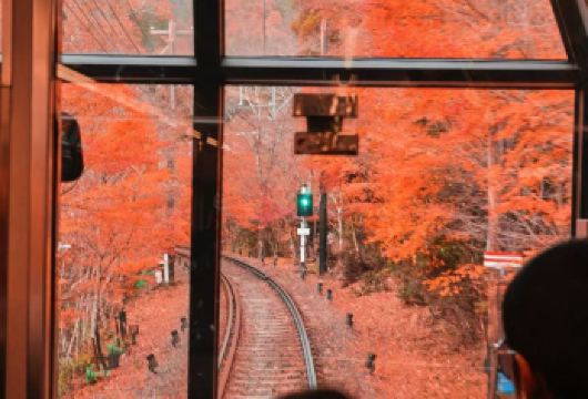 日本京都岚山+金阁寺【中文专车/行程定制/大阪京都往返】【尊享一对一高端行程定制，豪华包车专属礼遇，专业旅行顾问24小时恭候垂询。】