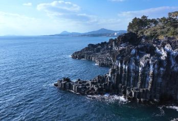 济州岛西南线/小羊肖恩+山茶花之丘+追海豚+狭才浴场/市区接【亮点一：（精品纯玩，快来占坑）济州本地旅行社发团，多年驾龄中文司机带队安全驾驶，沉浸式打卡济州之美】