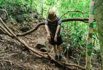 西双版纳基诺山雨林徒步专线一日游【瀑布溯溪+树降+竹筏】【[逆净雨林]释放天性的“野”、回归原生、溯源该有的野趣、探奇独树成林景观、寻获一场难忘的徒步】