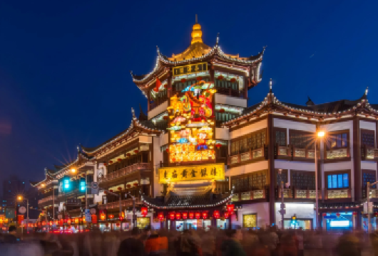 【上海都市包车游】上海博物馆+上海温室花园+课植园+城隍庙【上海都市经典路线，一日游打卡活动】