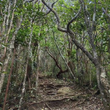 毛里求斯南部包车一日游【黑河谷圣水湖朗姆酒沙滩骑马天涯海角】