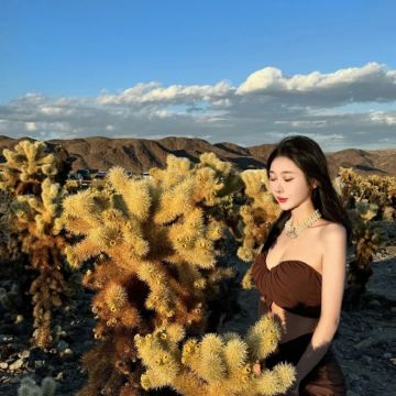 美国凤凰城-斯科茨代尔-仙人掌公园-巨人柱国家公园-包车精选