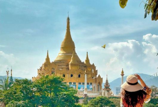 【纯玩中缅边境】西双版纳勐景来+独树成林+打洛国门打卡一日游【[纯玩无购物]全程真纯玩，无购物，无强制消费，品质商家，服务保障】