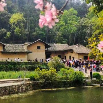 韶山一日活动【包车出行·上门接·+导游讲解+韶山景点代预约】