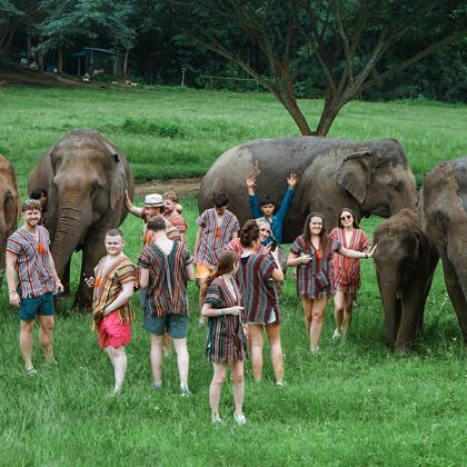 清迈兰纳大象保护营Lanna Elephant Care