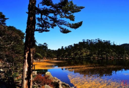 中国四川西昌螺髻山一日游【市区到景区往返交通+景区套票】【春赏花 夏听雨 秋观叶 冬看雪】