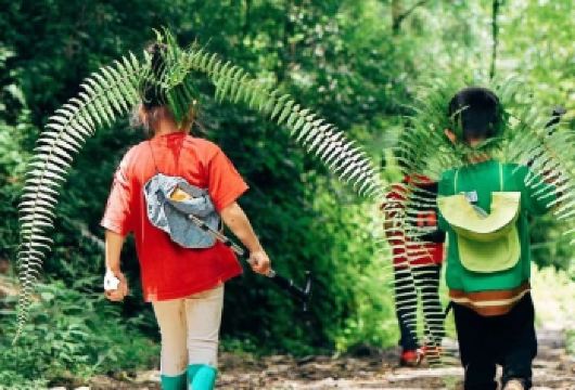 腾冲高黎贡山花寨大瀑布一日游【大地茶海+荒野美食+金汤足浴】【[探秘高黎贡山]徜徉天然的森林氧吧，观古木奇树、赏野生瀑布、识植物百科 +[可升级2顿餐食]】