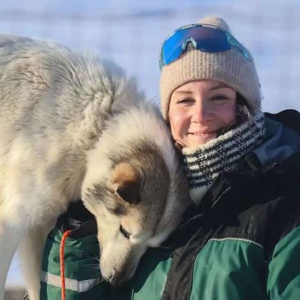 挪威朗伊尔城：狗拉雪橇4H/狗拉雪橇冰川之旅7H