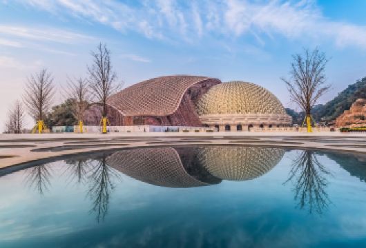 牛首山文化旅游区+夫子庙半日游丨含门票+导游精华讲解【[精选景点]南京网红牛首山深度漫游，夜游夫子庙。】