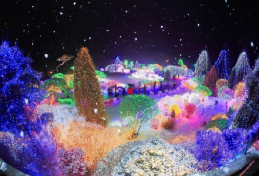 冬季限定 | 鱼飞溪谷冰川X南怡岛X晨静树木园夜灯光节【冬季的鱼飞溪谷冰川就像一幅冰雪童话！晶莹剔透的冰壁在阳光下闪耀，让您仿佛置身于仙境般的探险之旅！】