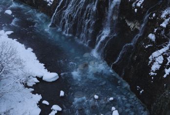 日本北海道旭川动物园｜白须瀑布｜札幌往返｜中文专车【尊享一对一高端行程定制，多日豪华包车专属礼遇，专业旅行顾问24小时恭候垂询。】