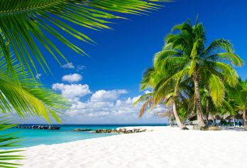 纯玩文昌铜鼓岭+石头公园+东郊椰林+宋氏祖居+椰子王国+午餐【[山海+椰林+人文+午餐]文昌精品一日游·不虚此行】