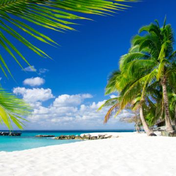 纯玩文昌铜鼓岭+石头公园+东郊椰林+宋氏祖居+椰子王国+午餐