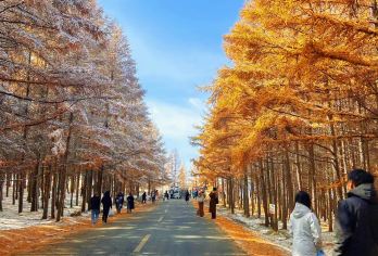 呼和浩特+哈达门+红石崖+上门接送一日游【[轻松出行]二环内免费接送|市区直达景区 |纯玩小团/无强制购物|让您安心出游】