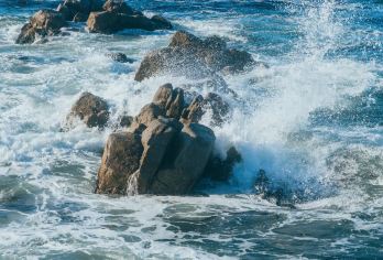 美国旧金山往返半月湾-蒙特雷-卡梅尔17里等景点包车-精选【专属客服和本地中文司机，一家一团包车】