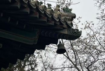 北京潭涧寺，一座拥有千年历史的寺庙（英文导览）【感受丹增寺的灵性能量，这是一处**宝地。 探索天王殿、雍和宫等古代建筑。 在宁静的环境中欣赏树龄超过1700年的古树】