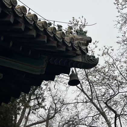 北京潭涧寺，一座拥有千年历史的寺庙（英文导览）