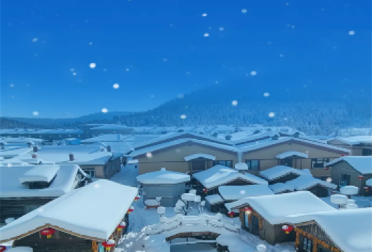 哈尔滨+亚布力滑雪+中国雪乡【纯玩无购物◆畅玩冰雪】【[豪华出行]精品小团专车接送，高自由度，全程纯玩无购物无自费】