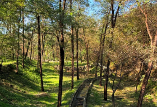 淄博原山国家森林景区+艰苦创业纪念馆一日游【打卡原山艰苦创业基地，聆听奋斗故事，感悟砥砺前行的实干精神。】