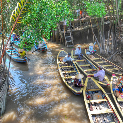 越南胡志明市湄公河三角洲一日游