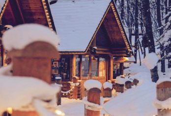 日本北海道旭山动物园森林精灵阳台一日游青池白须瀑布四季彩之丘【[纯玩无忧]精选景点不走寻常路，纯玩不进店，可付费酒店接送】