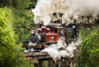 【可优惠！ 玩转两大热门景点】普芬比利蒸汽火车+企鹅岛一日游【乘坐复古蒸汽小火车穿越雨林+菲利普岛看呆萌小企鹅看企鹅归巢!】
