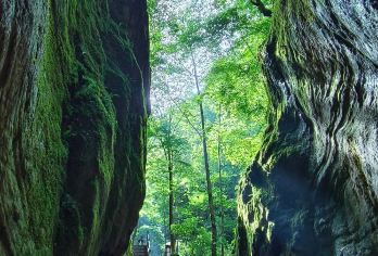 西安+秦岭牛背梁+终南山寨1日（真纯玩|无套路|服务态度好）【车辆15%空座率，严选安全舒适车辆，优秀当地老司机，熟悉路况，安全驾驶，服务态度好，真诚待客。】