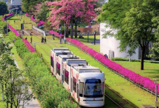 广州一日私家小团|乘坐有轨电车+白云山含缆车+广州经典景点【一次行程游遍九大景点，融合了广州经典的代表景点 。特别安排乘索道或电瓶车上下山，轻松畅游白云山。】