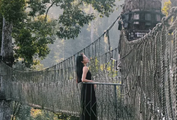 望天树景区一日游【电视边水往事打卡地|可选水陆空套票|纯玩】【[优良资质]正规旅游巴士，二十年驾龄老司机放心出游，只做纯玩，干净纯粹，休闲的体验旅游；】