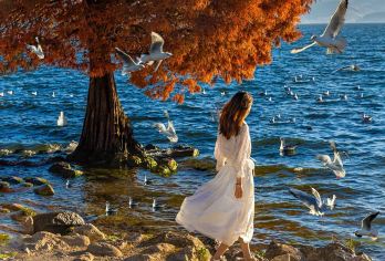 丽江+大理古城+洱海一日游【2~18人+双廊+理想邦+S湾】【品质保障：纯玩商务小团+时间自由充沛+不进购物店】