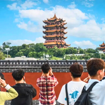 黄鹤楼+省博物馆+东湖+武大+轮渡+江汉关一日游