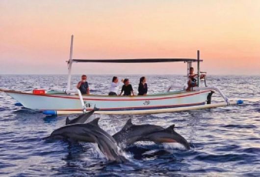 巴厘岛罗威纳海滩+乌布一日游【追包车】【经典线路 网红打卡 吃喝玩乐 自由自在】