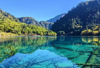 九寨一日游【九寨沟-松潘高铁站6-8人商务拼车】【九寨一日游】