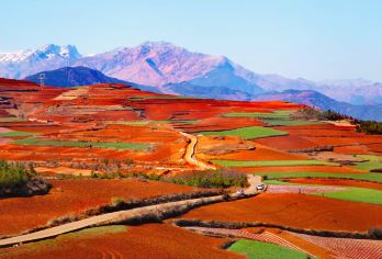 云南昆明周边游东川红土地一日游【东川红土地/纯玩/精致小团】【[玩法]摄影天堂 ，自然滤镜，大自然的调色板，身临其境，领略红土高】