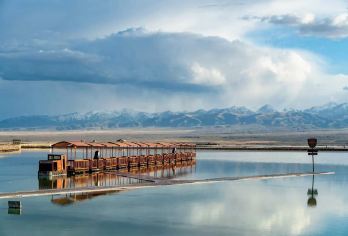 青海包车-门源观花+祁连大草原+七彩丹霞【青甘地区景点，顺序可调】