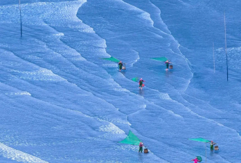 霞浦一日游【东海一号线/可选路线/本地司导带赏日落海岸线】【东海一号线，醉美海岸线环岛公路，霞浦东冲半岛风景光道。】
